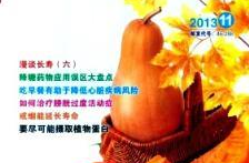 心血管病防治知识,心血管疾病预防与治疗的关键策略与生活方式调整