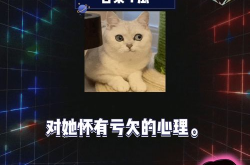 娱乐吃瓜论坛,揭秘明星幕后故事