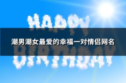 最浪漫网名,邂逅与守护