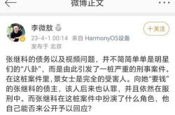 娱乐吃瓜张继科视频全集,揭秘赌债、私密视频事件背后的真相