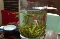 香茶娱乐,品味生活，畅享休闲时光
