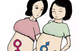 怀孕男孩女孩的区别,男孩与女孩的五大差异解析