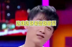 娱乐陈晓吃瓜,娱乐圈的“瓜田”再起波澜