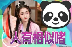 主播吃瓜爆料伙伴娱乐,吃瓜爆料，伙伴娱乐背后的精彩故事